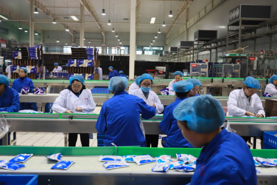 党员带头赴一线  助力春节保生产—米兰app登录入口_米兰online(中国)别样“生产突击队”助力车间生产