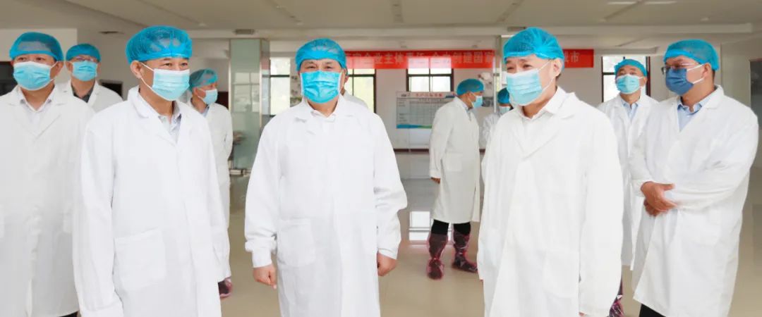 快讯丨河南省人民政府副省长武国定莅临米兰app登录入口_米兰online(中国)乳业集团瑞亚牧业调研奶源基地建设情况
