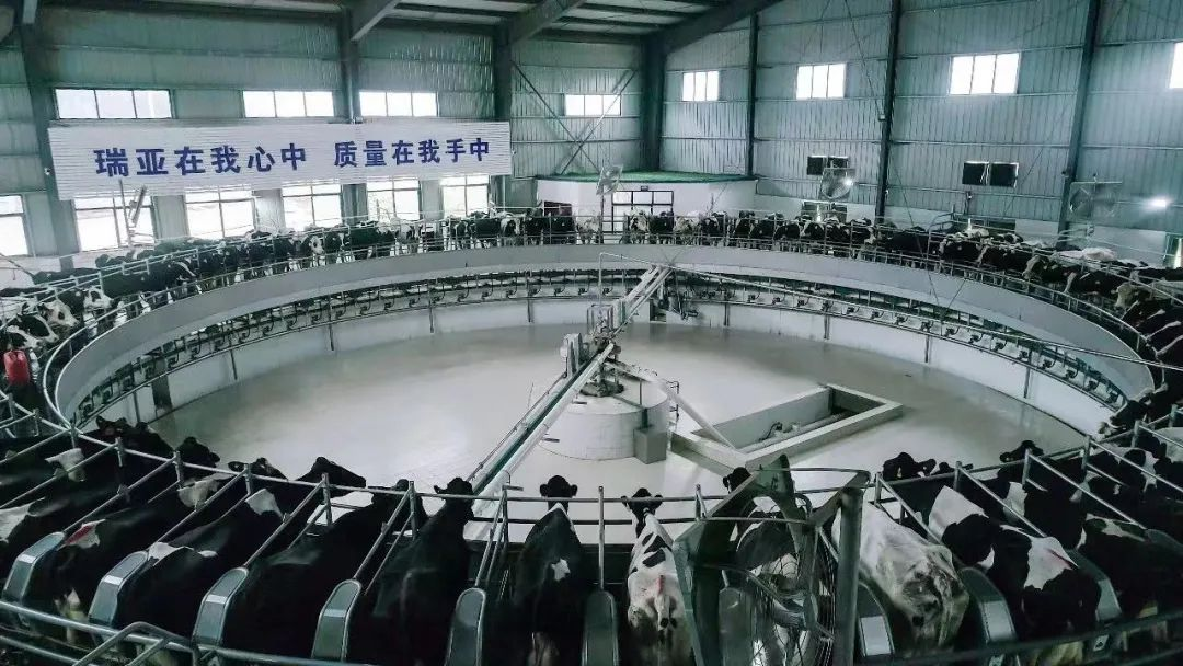 喜讯 | 米兰app登录入口_米兰online(中国)一座自有牧场入选河南省“DHI测定优秀牧场”