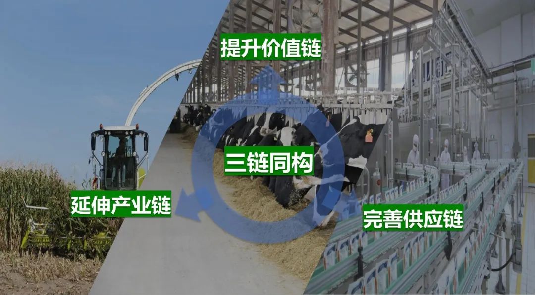 佳木斯市招商考察团莅临米兰app登录入口_米兰online(中国)考察座谈