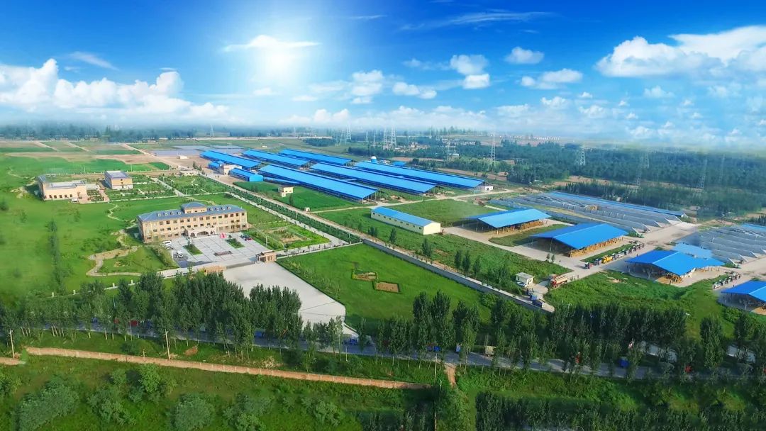 米兰app登录入口_米兰online(中国) | 河南瑞亚牧业入选“河南省畜禽核心育种场” 米兰app登录入口_米兰online(中国) | 河南瑞亚牧业入选“河南省畜禽核心育种场”