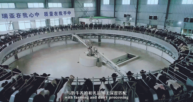 快讯 | 湖北省农业厅副厅长王海涛等领导一行莅临河南米兰app登录入口_米兰online(中国)乳业集团参观调研
