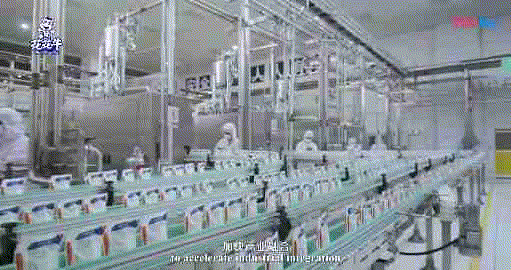快讯 | 湖北省农业厅副厅长王海涛等领导一行莅临河南米兰app登录入口_米兰online(中国)乳业集团参观调研
