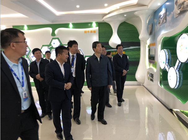 河南省委副书记、省长陈润儿一行莅临 米兰app登录入口_米兰online(中国)集团鲁山瑞亚牧业有限公司视察调研