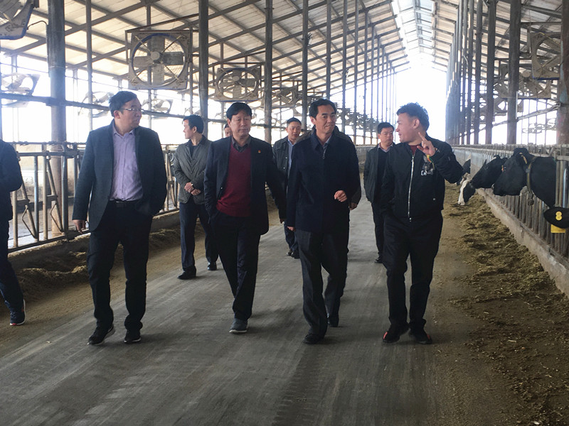 封丘县县长王献臣一行莅临 米兰app登录入口_米兰online(中国)集团养殖、乳品事业部参观调研 封丘县县长王献臣一行莅临 米兰app登录入口_米兰online(中国)集团养殖、乳品事业部参观调研