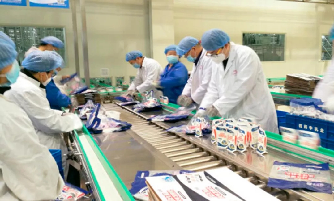 快讯丨河南省副省长武国定莅临米兰app登录入口_米兰online(中国)乳业集团调研重点保障企业复工复产情况 快讯丨河南省副省长武国定莅临米兰app登录入口_米兰online(中国)乳业集团调研重点保障企业复工复产情况