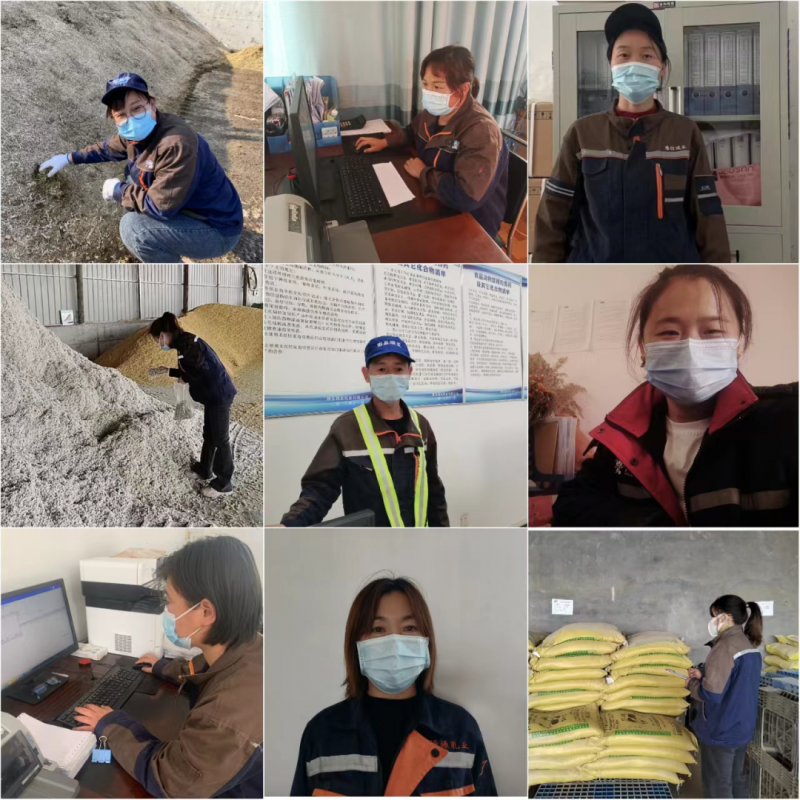 米兰app登录入口_米兰online(中国)丨点点微光汇星河——养殖事业部抗疫保生产侧记
