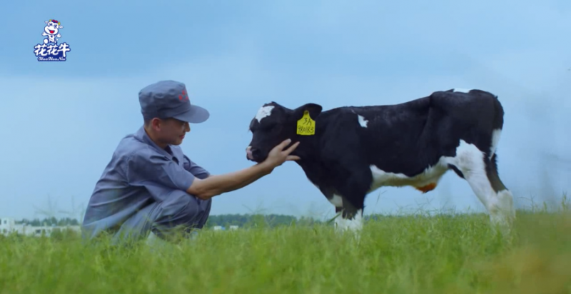 中国动物卫生流调中心首席科学家范伟兴一行莅临米兰app登录入口_米兰online(中国)郏县发展、鲁山瑞亚参观调研