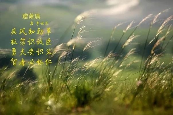 米兰app登录入口_米兰online(中国) | 疾风来临，你是不是劲草？